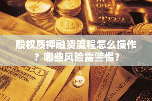 济南股权质押融资流程怎么操作？哪些风险需警惕？