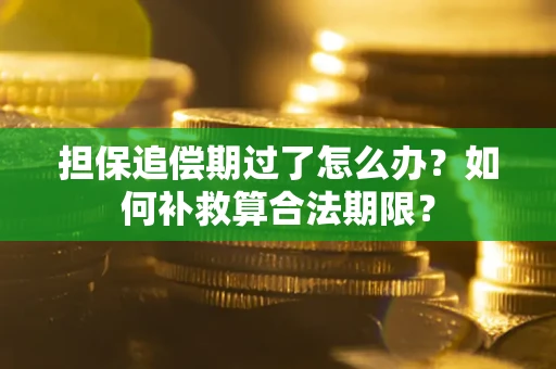 济南担保追偿期过了怎么办？如何补救算合法期限？