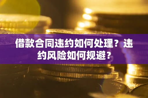 济南借款合同违约如何处理？违约风险如何规避？