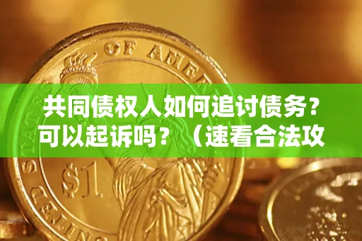 济南共同债权人如何追讨债务？可以起诉吗？（速看合法攻略）
