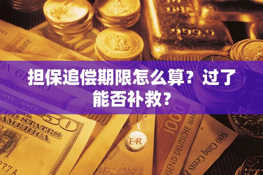 济南担保追偿期限怎么算？过了能否补救？